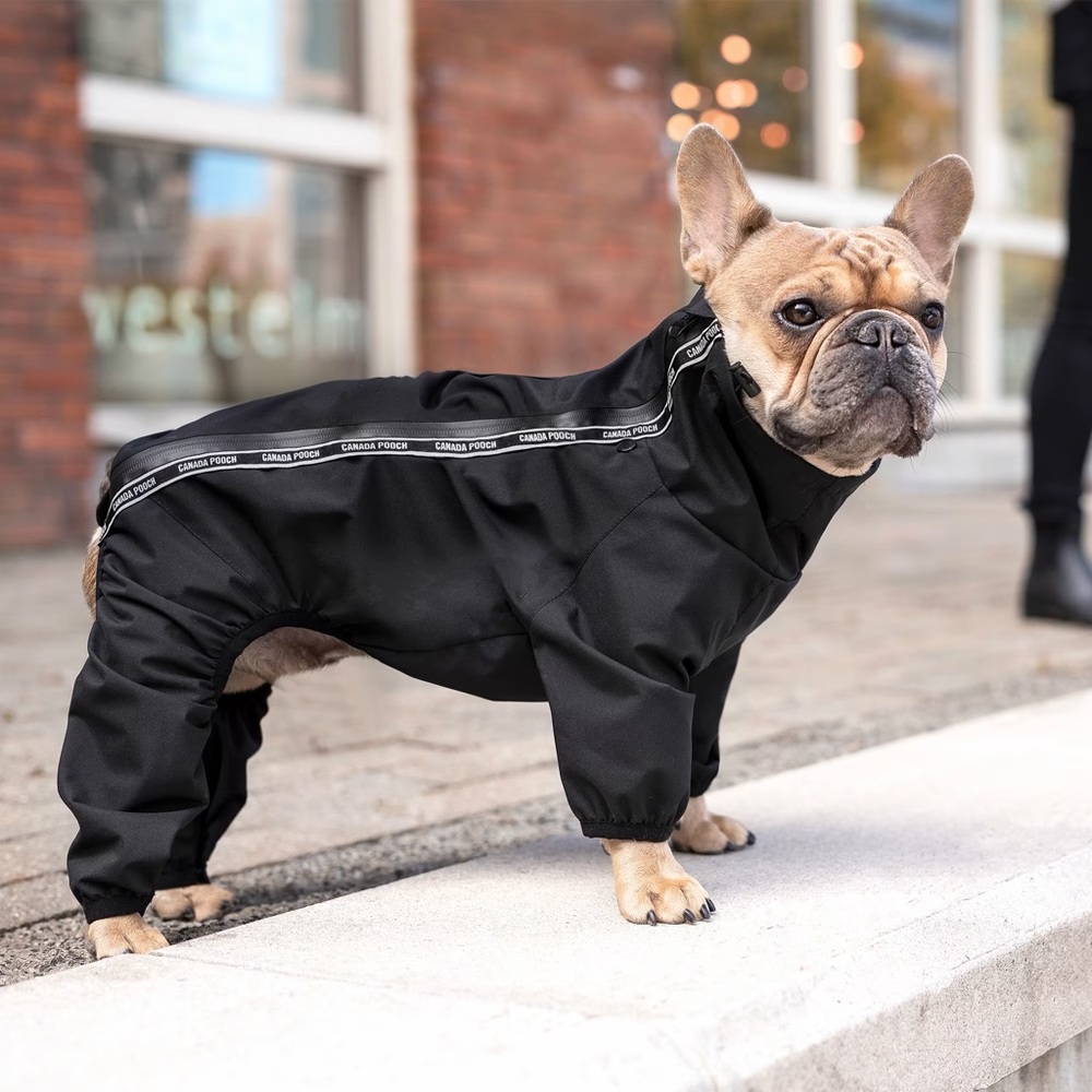 Black Dog Raincoat - Picture 5 of 8